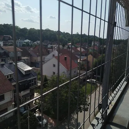 For Exit Festival 4-5 Adults * Petrovaradin