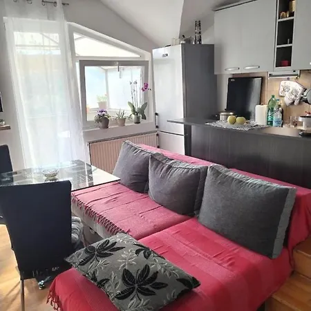 For Exit Festival 4-5 Adults Apartment *